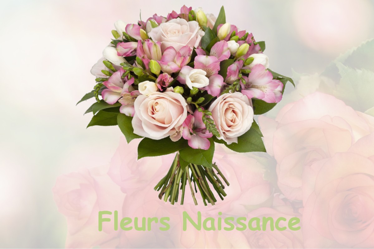 fleurs naissance PLESSIS-SAINT-BENOIST