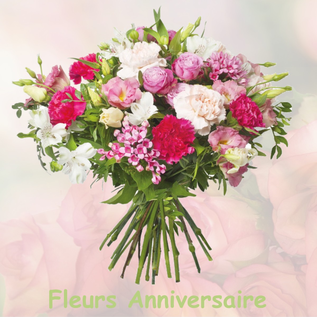 fleurs anniversaire PLESSIS-SAINT-BENOIST