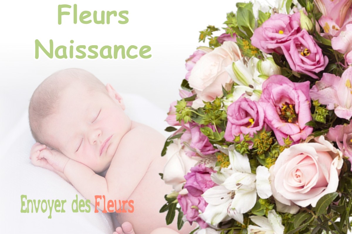 lIVRAISON FLEURS NAISSANCE à PLESSIS-SAINT-BENOIST